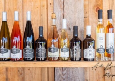 22 Vignoble Val Caudalies