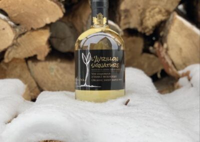 39 Domaine du Cap – Érablière