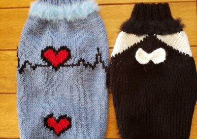 02 FDS #1 – Tricot Chien Chaud